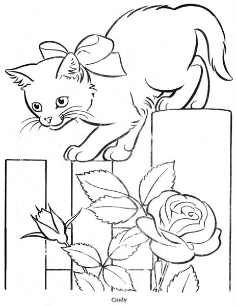 Кошки. Раскраска