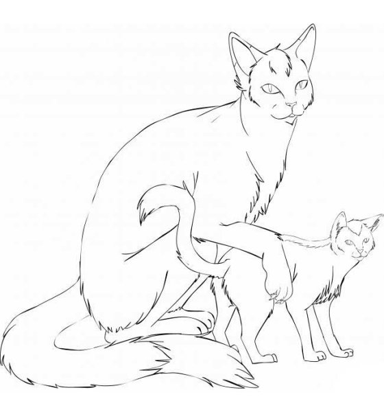 Лайны котов воителей семья 1 котёнок