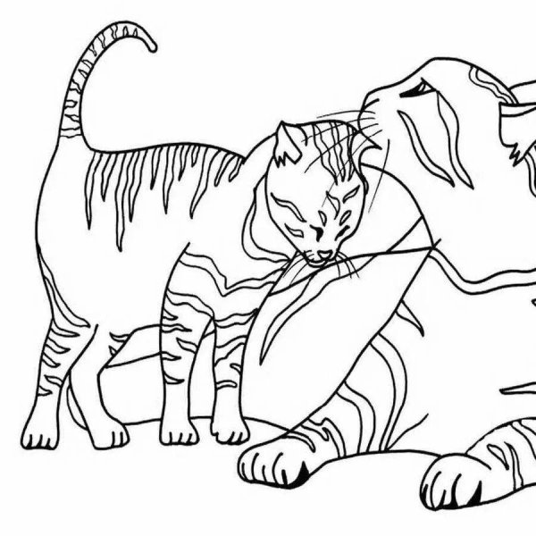 Кошки. Раскраска