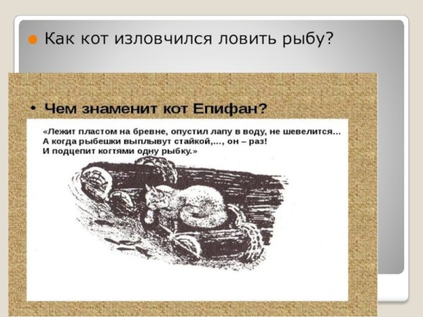 Е Чарушин кот Епифан