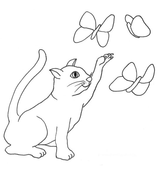 Раскраска котик с бабочкой