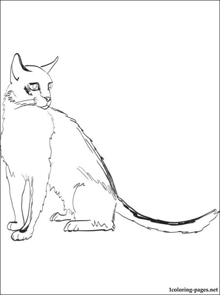 Раскраска Мифические кошки
