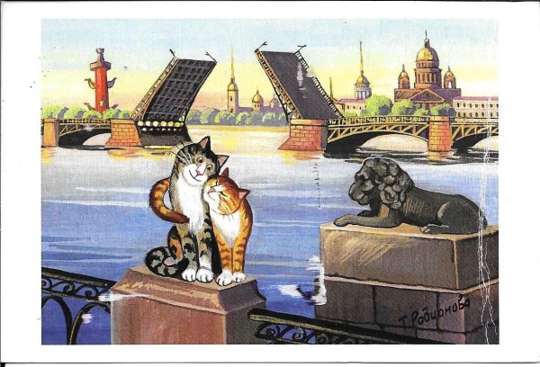Питерские коты Татьяны Родионовой