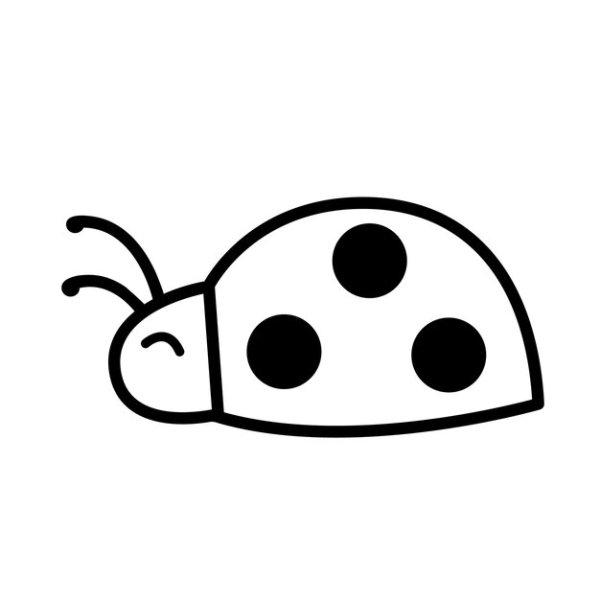 Божья коровка черно белая