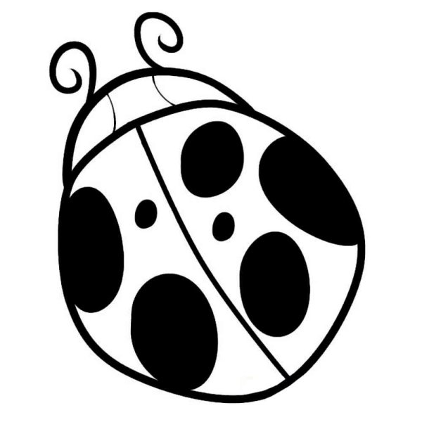Божьи коровки