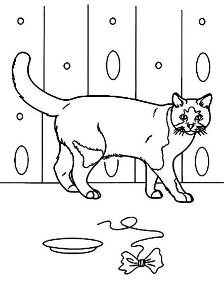 Кошки. Раскраска