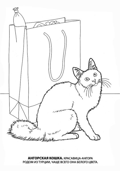 Кошки. Раскраска