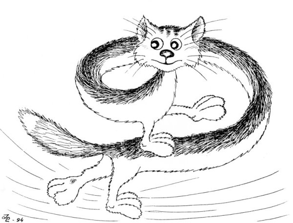 Кошка которая гуляла сама по себе раскраска