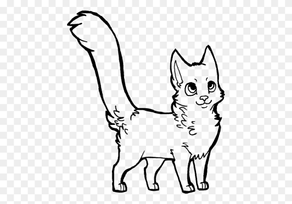 Лайн кота на прозрачном фоне