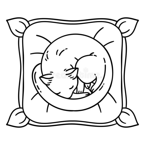 Котик на подушке раскраска