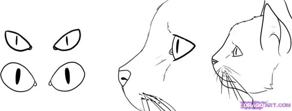 Поэтапное рисование кошачьих глаз