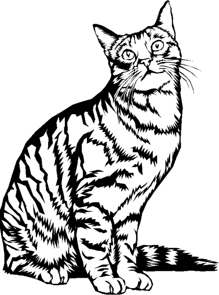 Кошка раскраска для детей