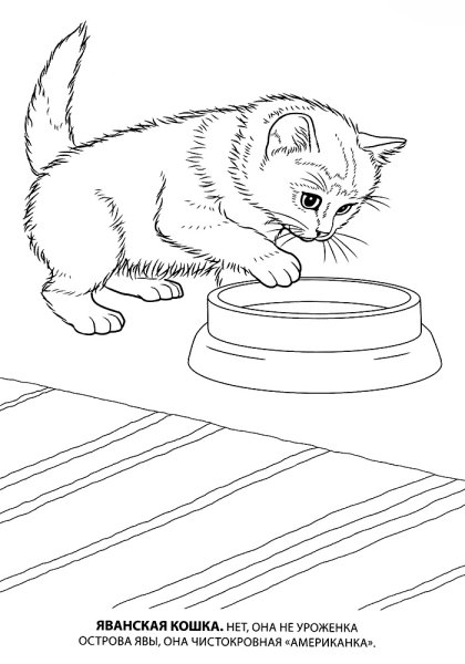 Раскраска домик с котятами