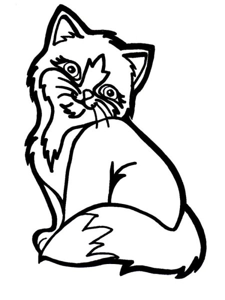Кошка спит раскраска