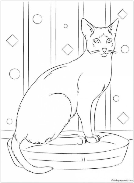Кошки. Раскраска