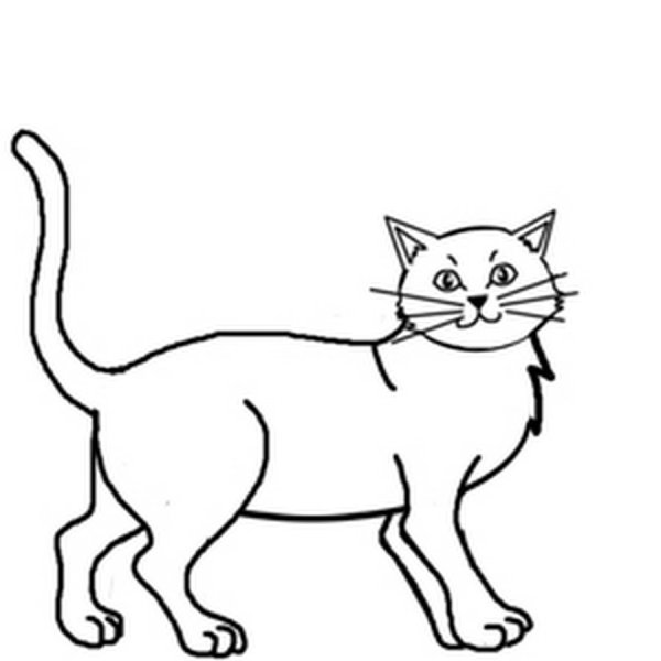 Раскраски стоящий кот (47 фото)