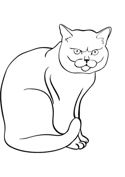 Кот сидит раскраска для детей