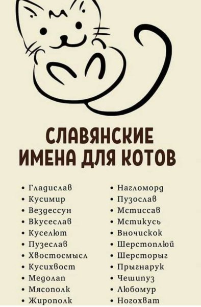 Клички для котов