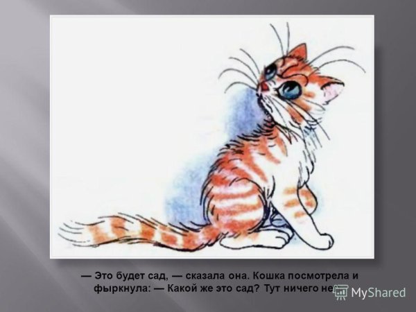 Капризная кошка