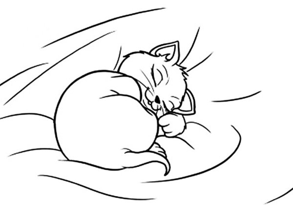 Спящий котик раскраска