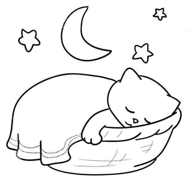 Спящий кот раскраска для детей
