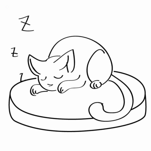 Спящий кот раскраска