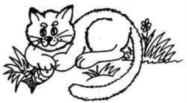 Раскраска к рассказу кот ворюга Паустовский