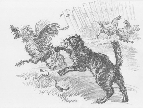 Паустовский кот ворюга иллюстрации