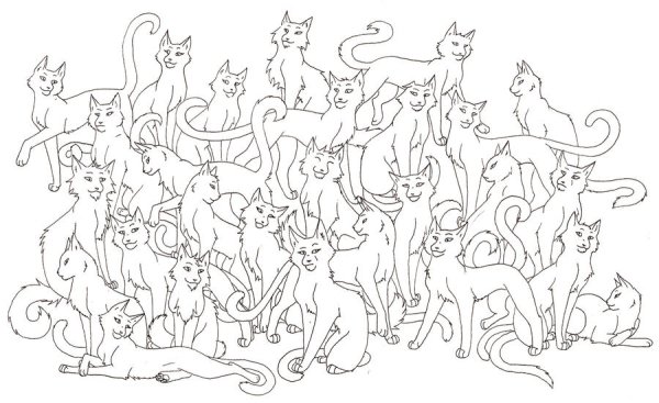 Раскраски племя коты воители (47 фото)