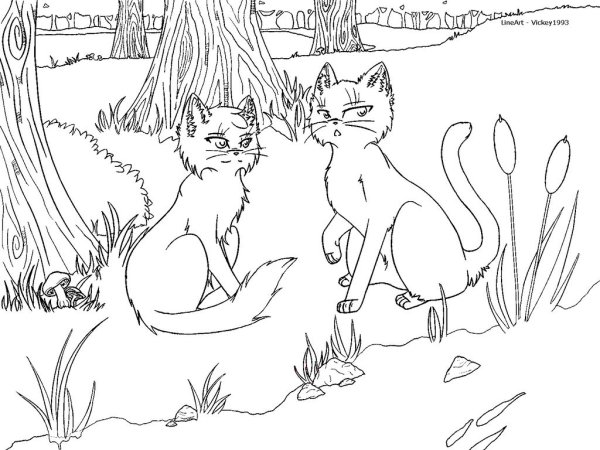 Раскраска коты Воители Рыжик