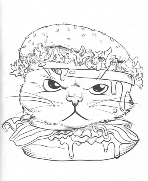 Котик бургер раскраска
