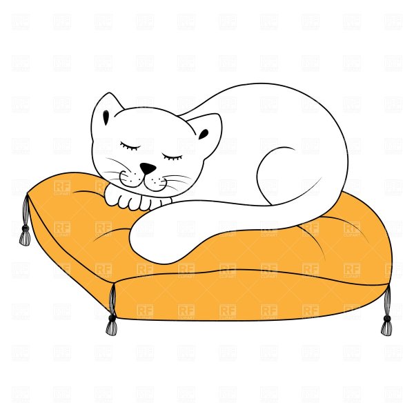 Кот сидит на подушке