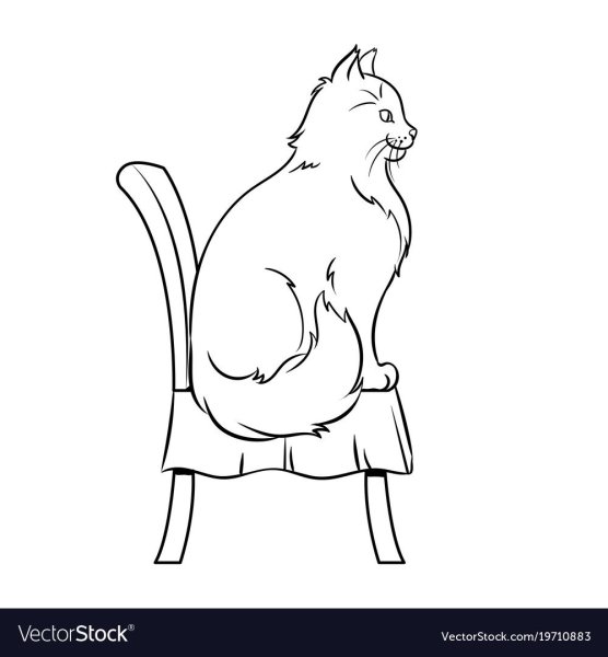 Кошка сидит на стуле