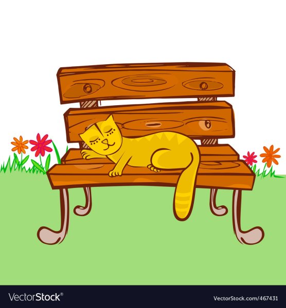 Спящий кот на стуле
