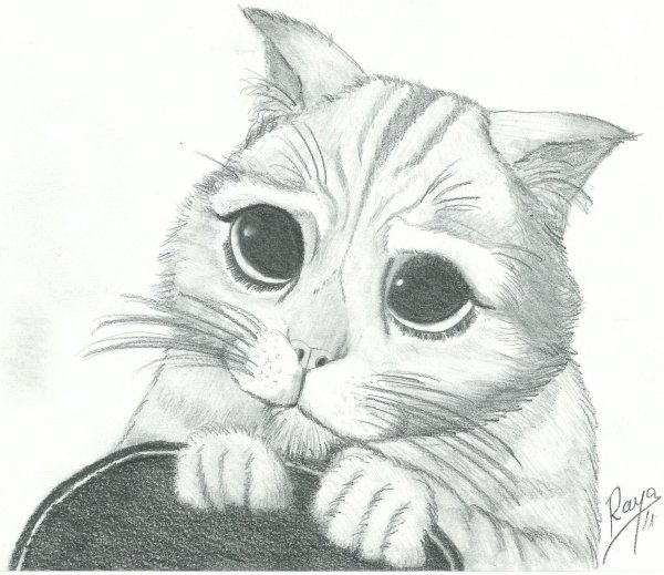 Рисунок котёнка карандашом для срисовки