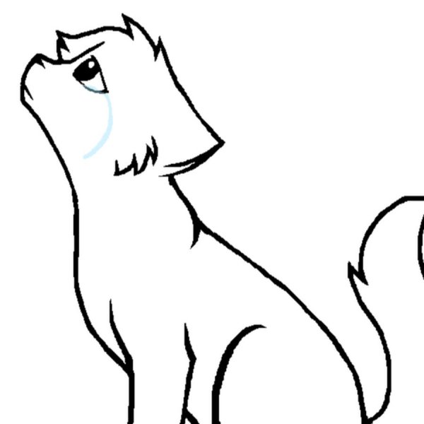 Раскраски грустный кот (45 фото)