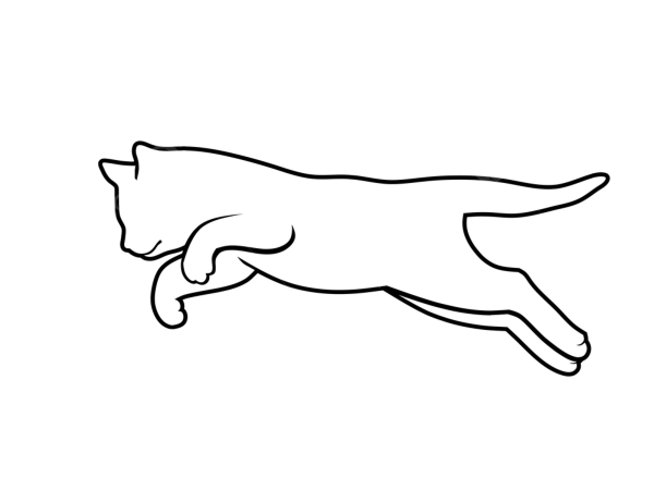 Кошка в прыжке рисунок