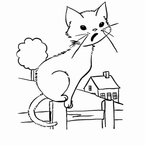 Раскраска домашняя кошка