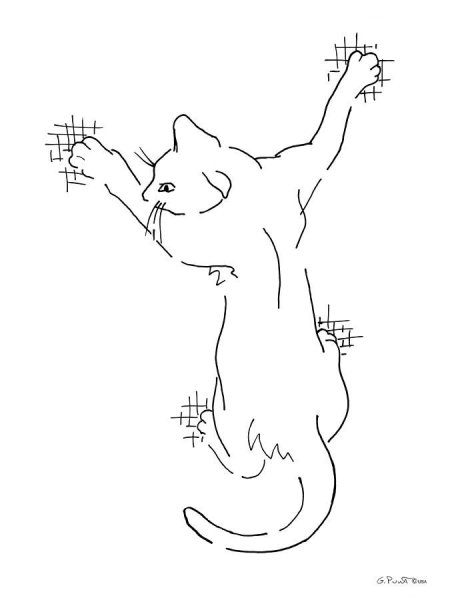 Схематичное изображение кошки