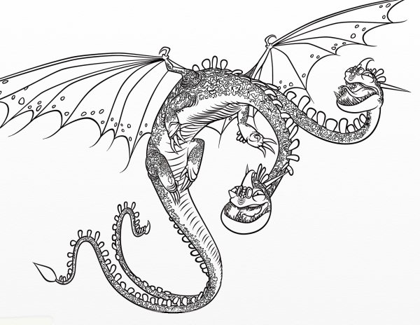 Раскраски два дракона (42 фото)