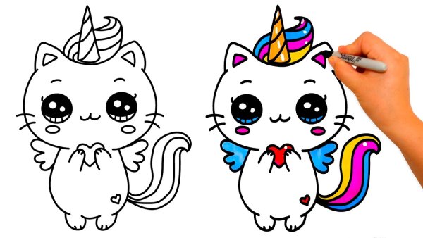 Draw a Unicorn Cat