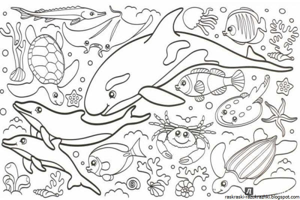 Раскраски обитатели морского дна (42 фото)