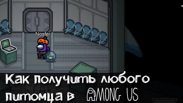 Амонг АС питомцы