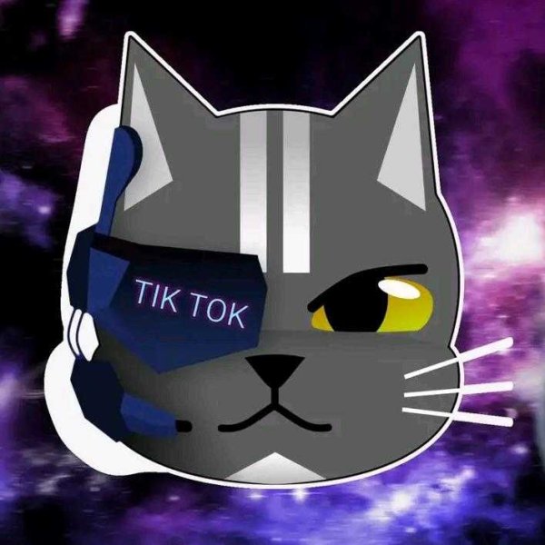Кот на аву в тик ток