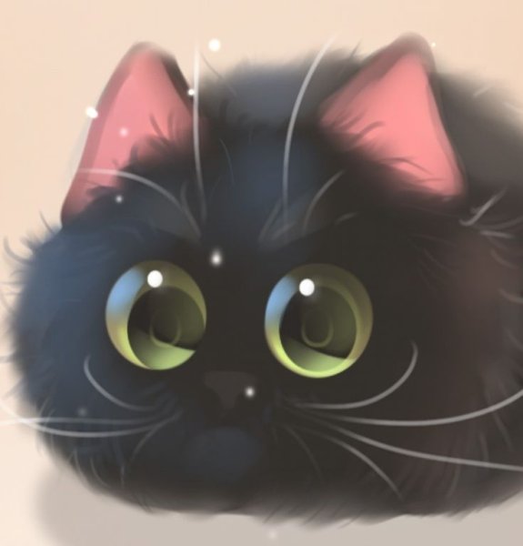 Котята ищут дом
