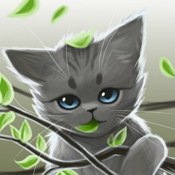 Коты Воители серенькая кошечка