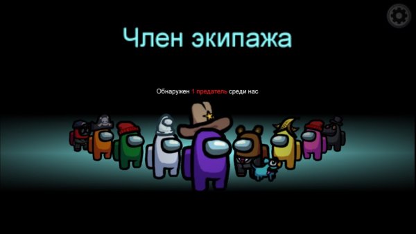 Член экипажа амонг АС