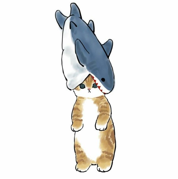 Котик в костюме акулы