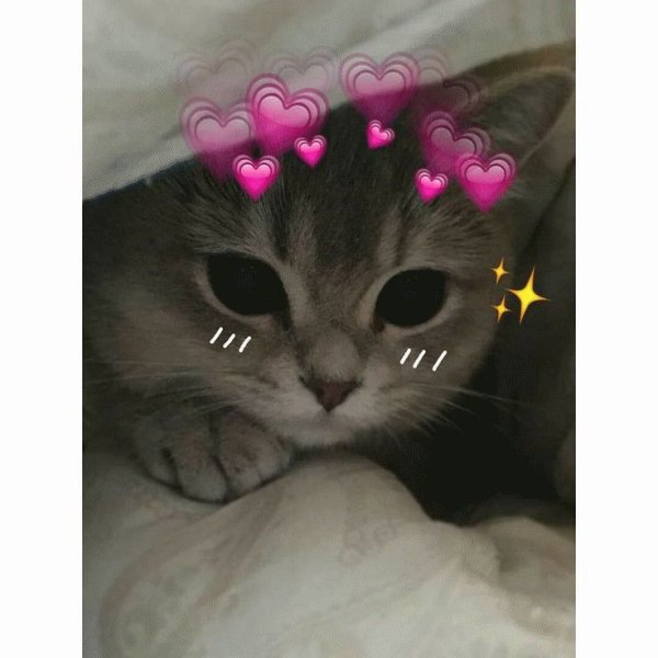 Милые котики с сердечками