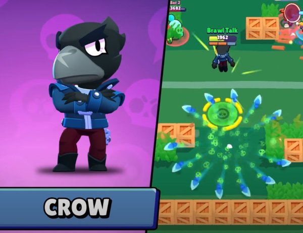Crow Remodel